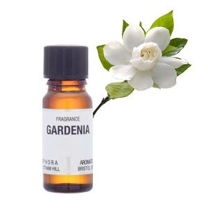 Amphora Aromatics Gardenia Fragrance 10ml