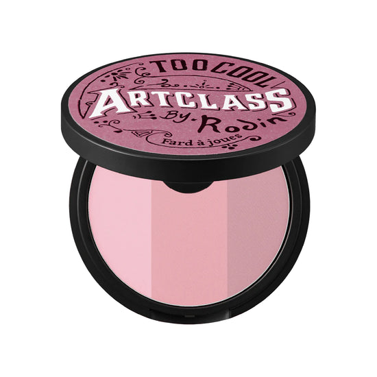 Too Cool for School Artclass By Rodin Blusher De Mauve