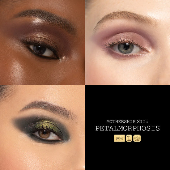 Load image into Gallery viewer, Pat McGrath Mothership XII: Petalmorphosis™ Black Case
