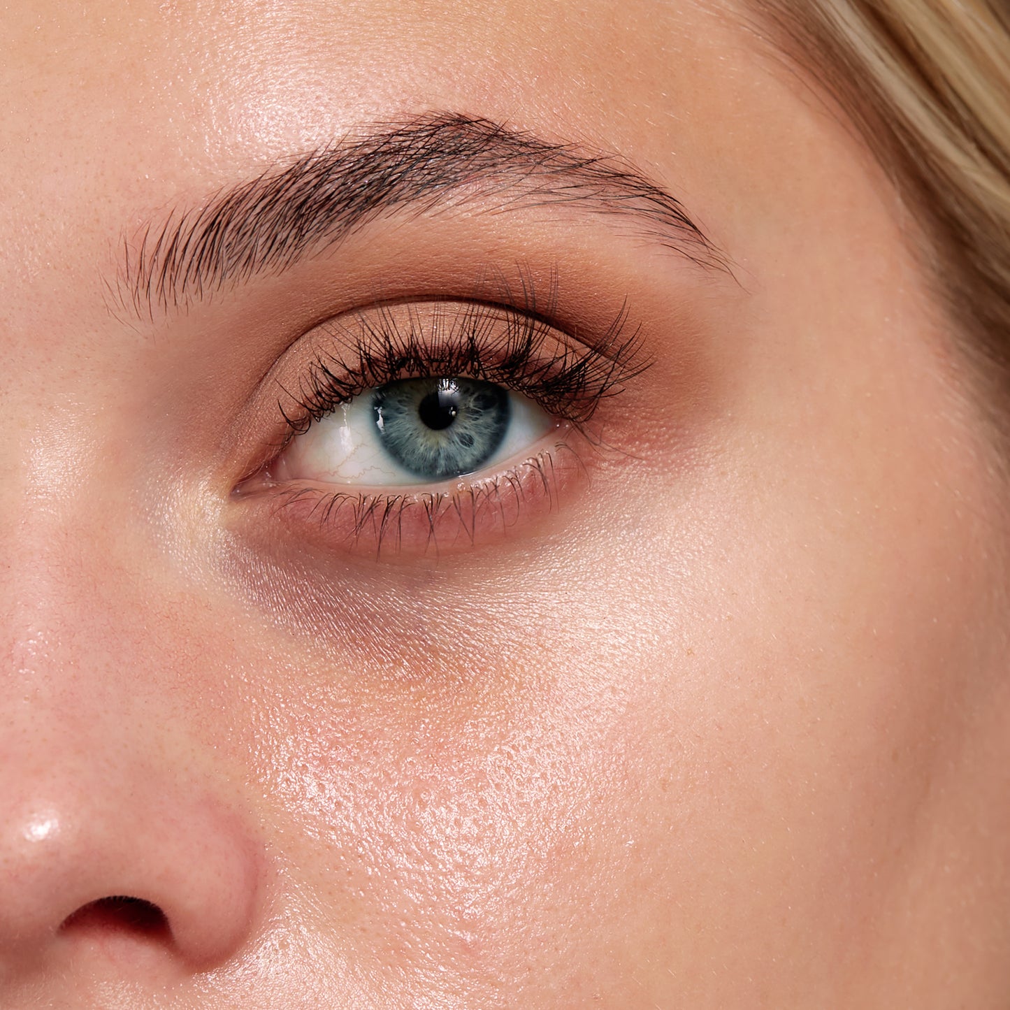 Sigma Beauty F26 Domed Concealer Brush