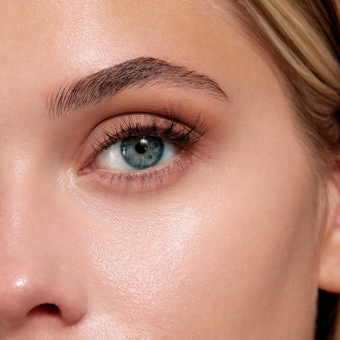 Sigma Beauty F26 Domed Concealer Brush