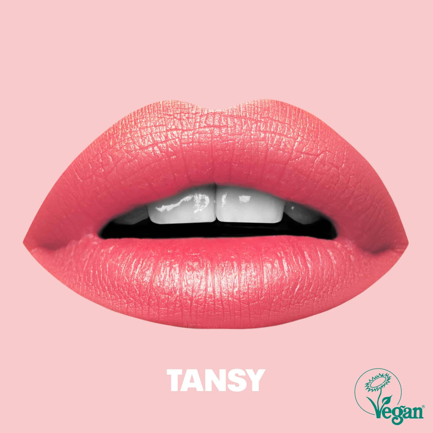 Load image into Gallery viewer, Beauty BLVD Mattitude Lip Liquid – Tansy
