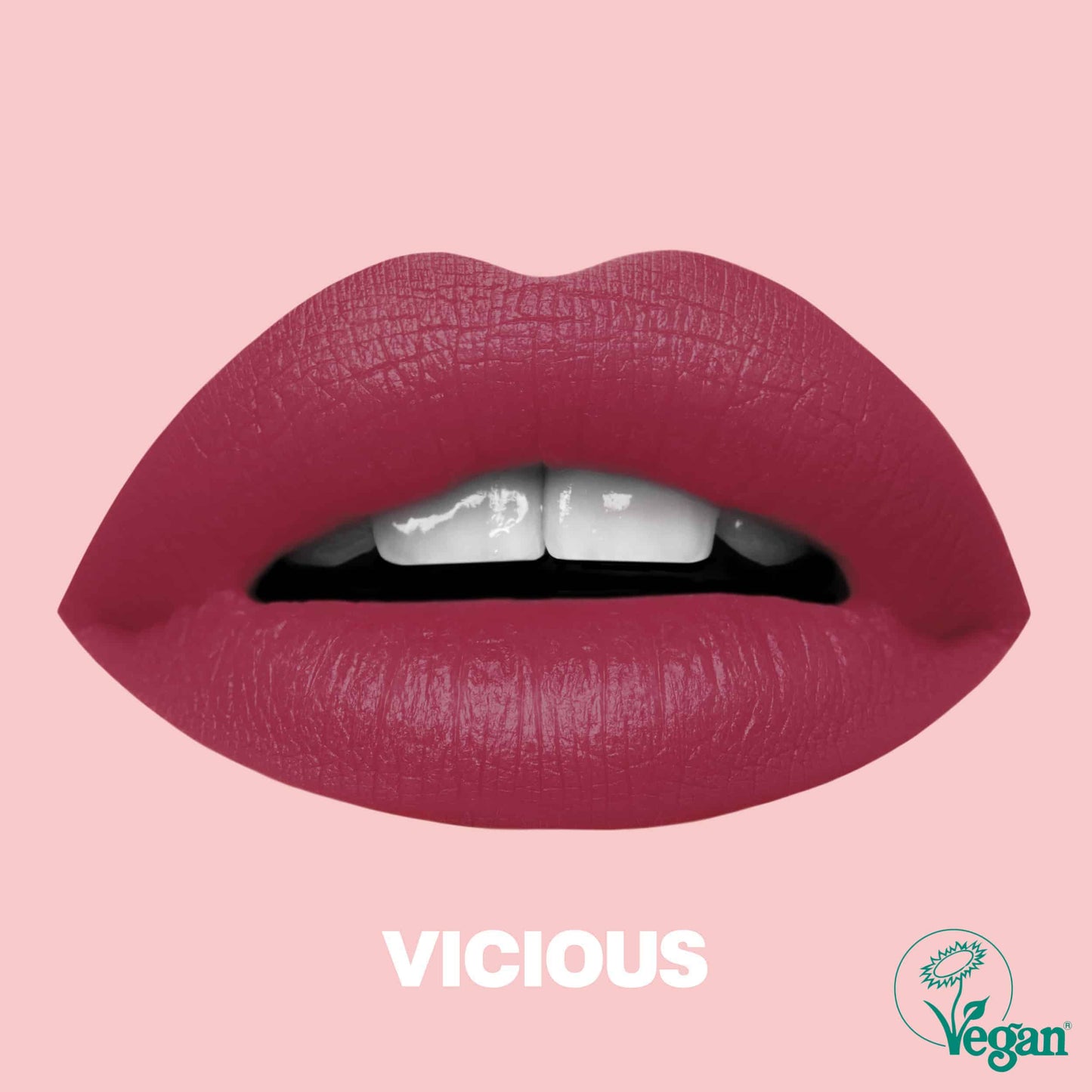 Beauty BLVD Mattitude Lip Liquid – Vicious