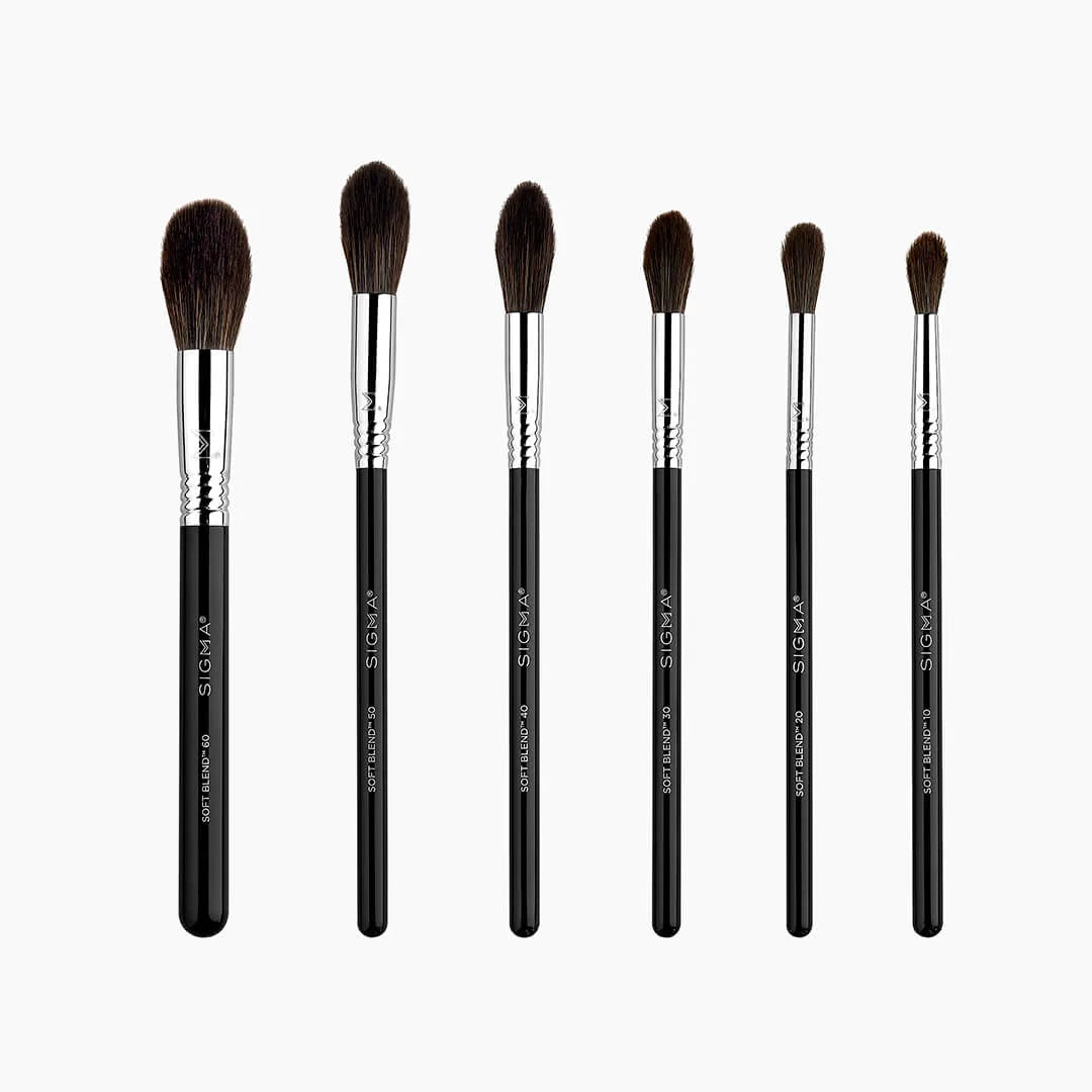 Load image into Gallery viewer, Sigma Beauty Soft Blend Brush Set
